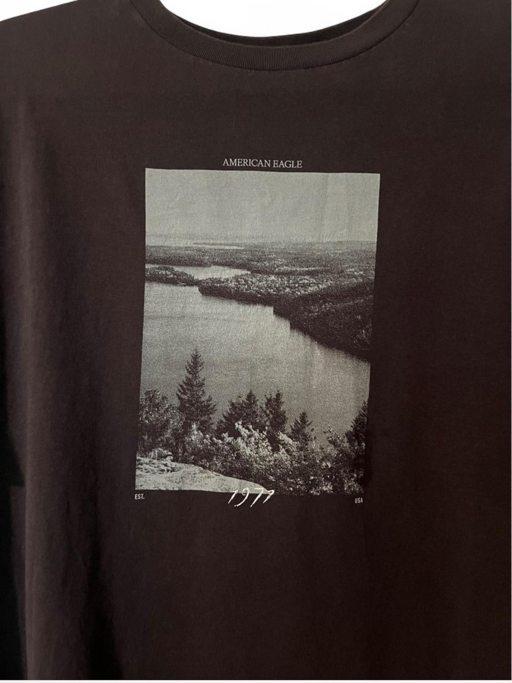 American Eagle Outfitters Men's Black Graphic T‑Shirt